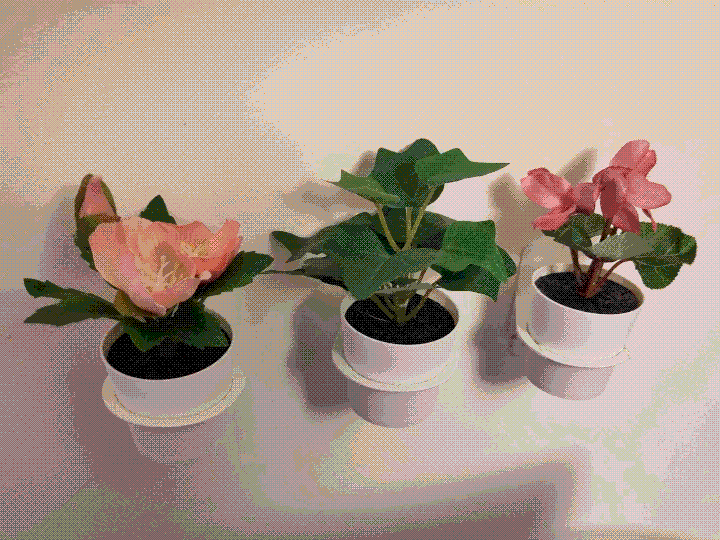 A noticeably-dithered photo of three artificial plants mounted to a white wall. The plants have large pink flowers and are in white pots, and the wall mounts are white and basketball hoop-shaped, sticking to the wall vertically and holding the tapered plant pots with a horizontal hoop.